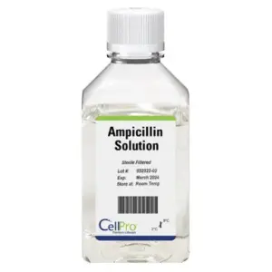 Ampicillin Solution 100mg/mL 10mL
